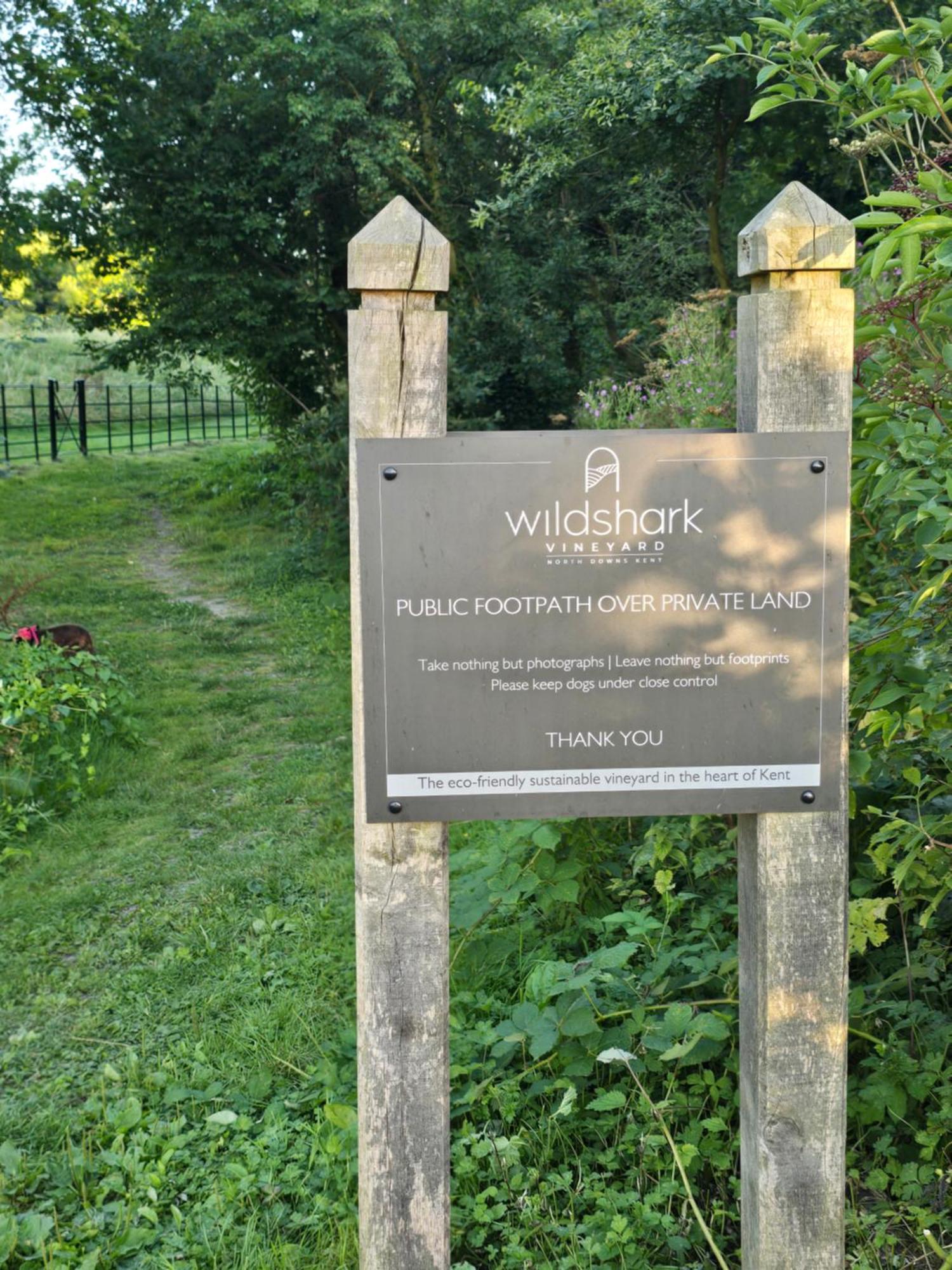 Willow Cottage In Idyllic Location Harrietsham Exterior photo